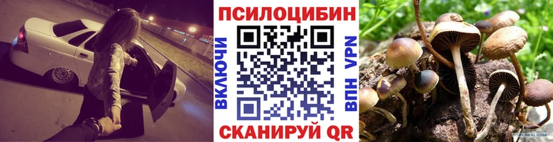 ссылка на мегу как зайти  Балашиха  Галлюциногенные грибы GOLDEN TEACHER 