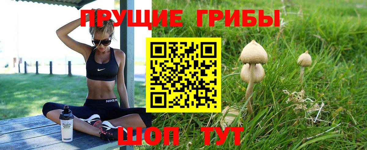Галлюциногенные грибы мухоморы Балашиха